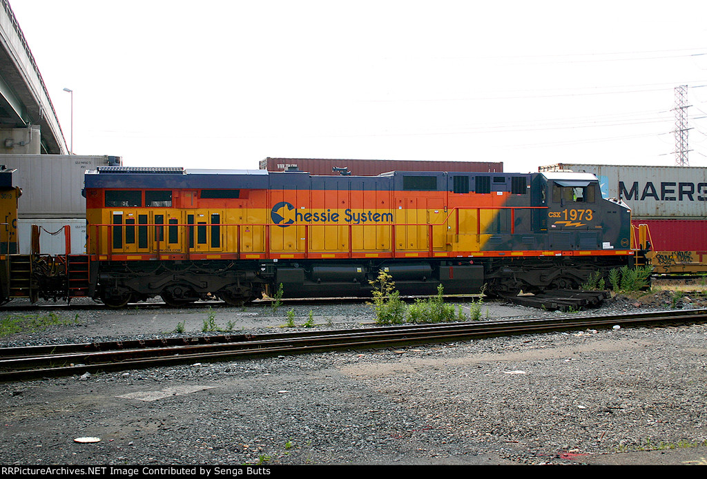 CSX Chessie System Heritage